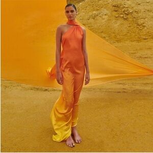 NWT Baobab Ombré Silk Dress